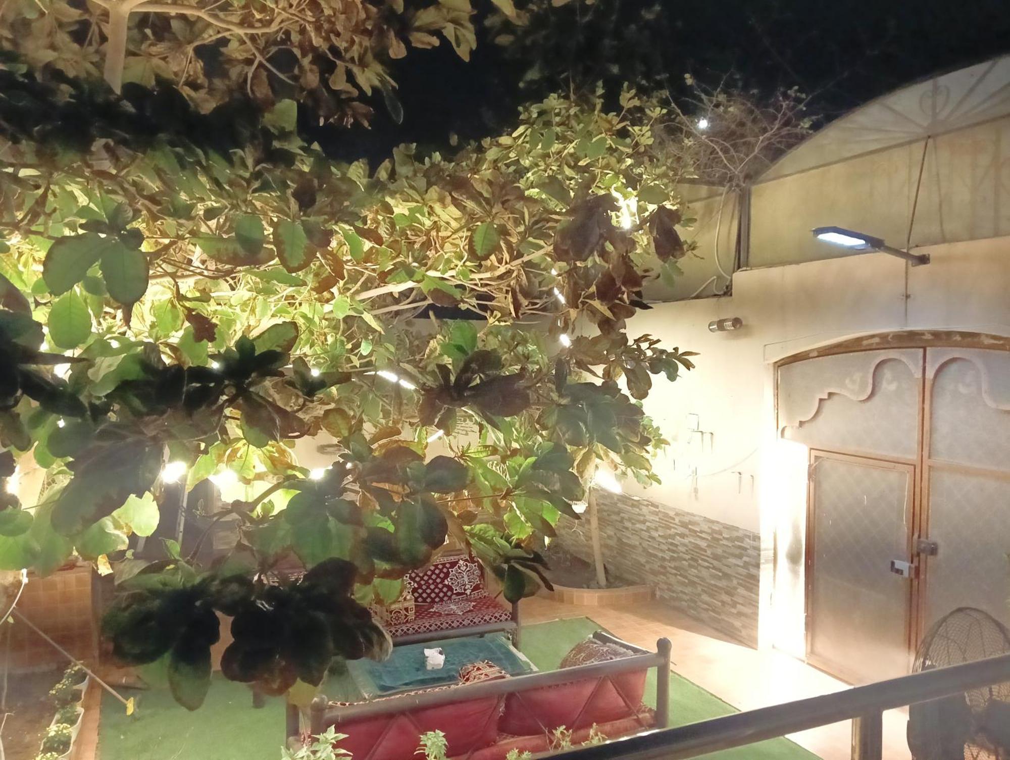 Villa Marmara 麦地那 外观 照片