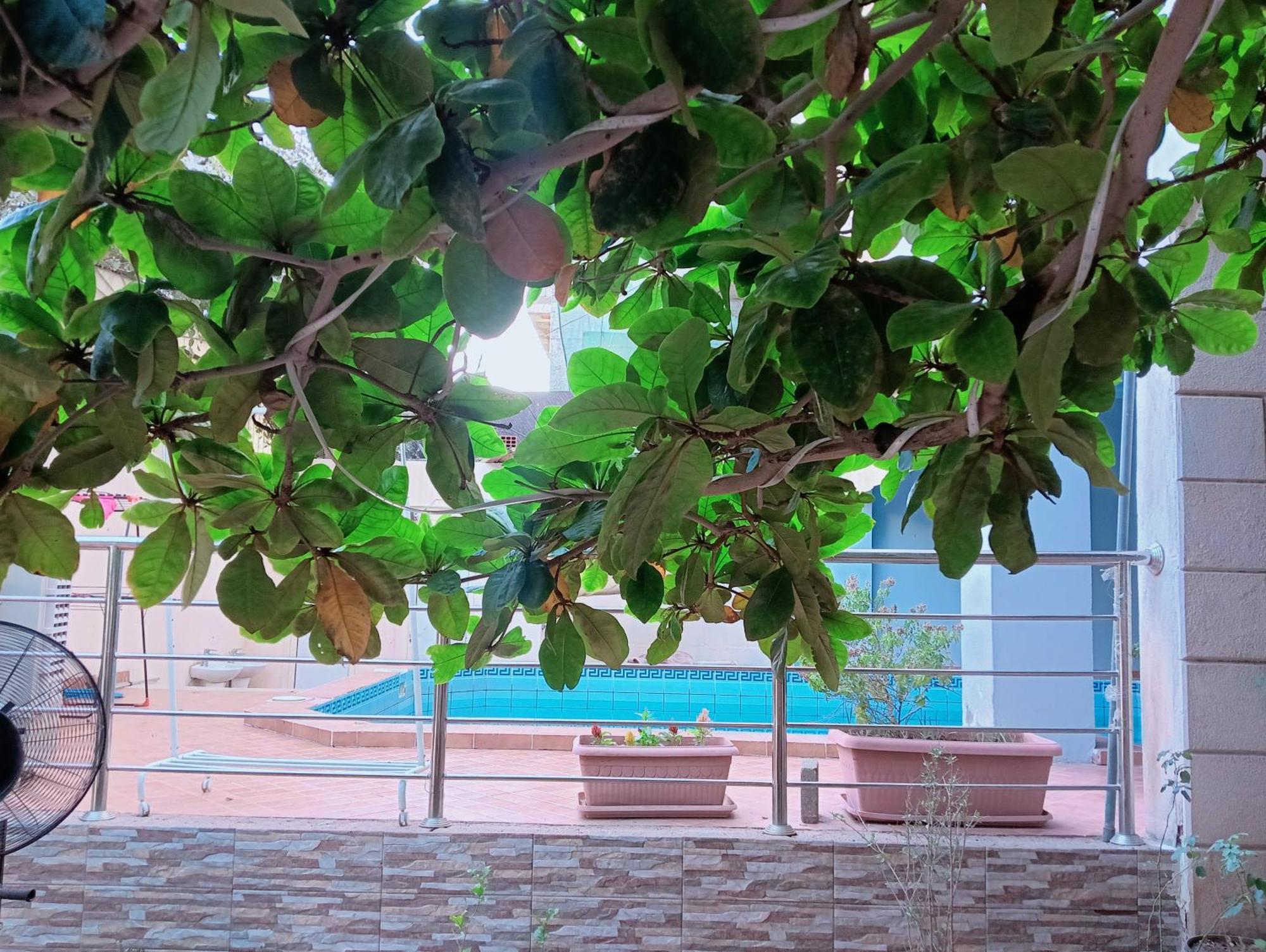 Villa Marmara 麦地那 外观 照片